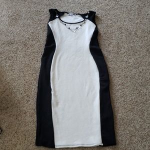 NWOT Wilde dress